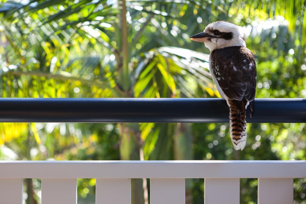 Cavvanbah Beach House Byron Bay Esterno foto